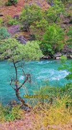 1771415598184.png 1771415598184.png